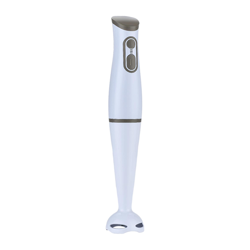 Blender à main multifonctionnel