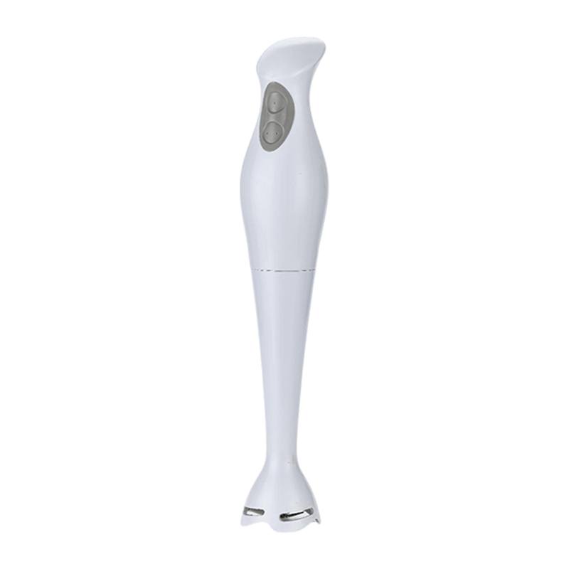 Blender à main portable